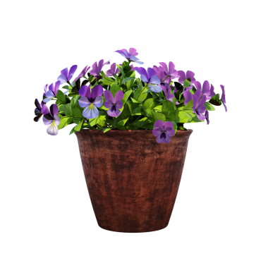 Beyaz arka planda izole edilmiş parlak çiçekli saksı bitkilerinin 3D görüntülenmesi