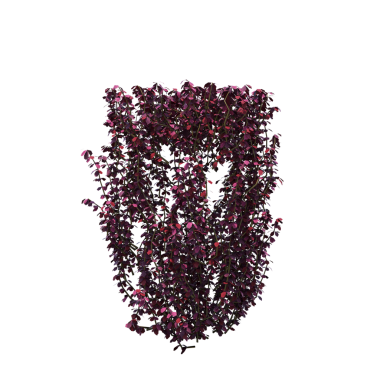 Çalılık, beyaz arkaplanda izole edilmiş, 3 boyutlu illüstrasyon, cg oluşturma