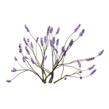 Çalılık, beyaz arkaplanda izole edilmiş, 3 boyutlu illüstrasyon, cg oluşturma