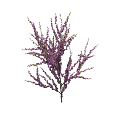 Çalılık, beyaz arkaplanda izole edilmiş, 3 boyutlu illüstrasyon, cg oluşturma