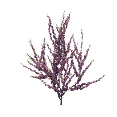 Çalılık, beyaz arkaplanda izole edilmiş, 3 boyutlu illüstrasyon, cg oluşturma