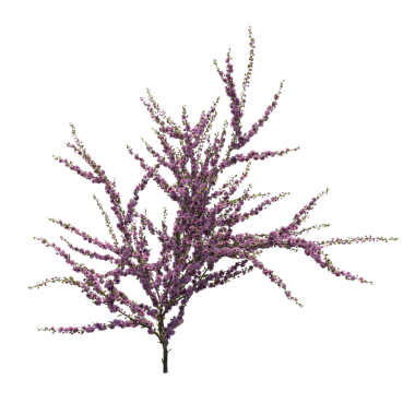 Çalılık, beyaz arkaplanda izole edilmiş, 3 boyutlu illüstrasyon, cg oluşturma