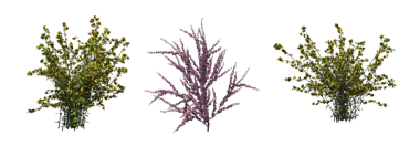 Çalılık, beyaz arkaplanda izole edilmiş, 3 boyutlu illüstrasyon, cg oluşturma