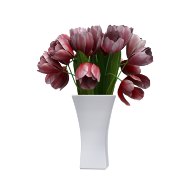 decorative flowers and plants for the interior, isolated on white background, 3D illustration, cg render