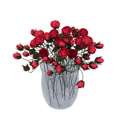 decorative flowers and plants for the interior, isolated on white background, 3D illustration, cg render