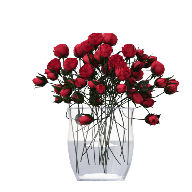 decorative flowers and plants for the interior, isolated on white background, 3D illustration, cg render