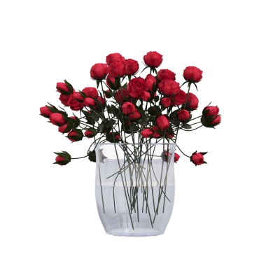 decorative flowers and plants for the interior, isolated on white background, 3D illustration, cg render