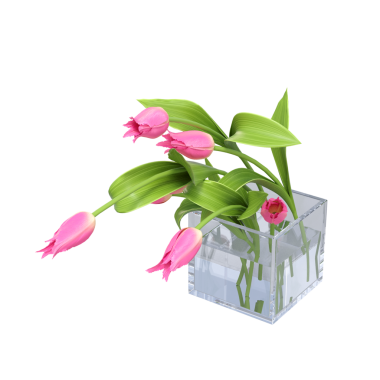 decorative flowers and plants for the interior, isolated on white background, 3D illustration, cg render