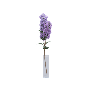 decorative flowers and plants for the interior, isolated on white background, 3D illustration, cg render