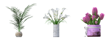 decorative flowers and plants for the interior, isolated on white background, 3D illustration, cg render