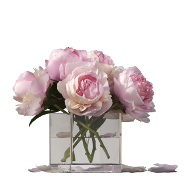 decorative flowers and plants for the interior, isolated on white background, 3D illustration, cg render