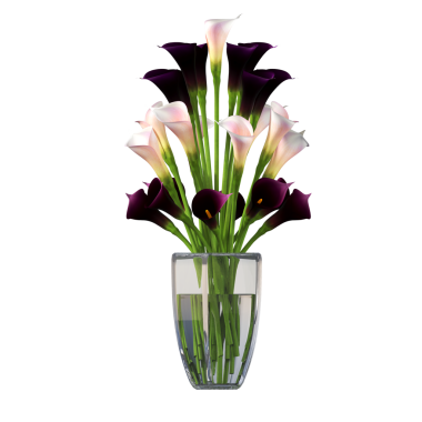 Beyaz arkaplanda izole edilmiş vazoda kalla çiçeklerinin 3 boyutlu görüntülenmesi