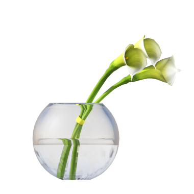 Beyaz arkaplanda izole edilmiş vazoda kalla çiçeklerinin 3 boyutlu görüntülenmesi