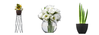 decorative plants and flowers in vase for the interior, isolated on white background, 3D illustration, cg render 