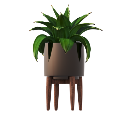 Beyaz arkaplanda izole edilmiş 3D saksı yeşil ev bitkisi