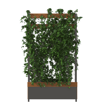 Beyaz arkaplanda izole edilmiş 3D saksı yeşil ev bitkisi