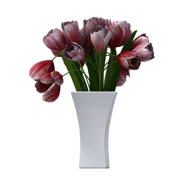 decorative flowers and plants for the interior, isolated on white background, 3D illustration, cg render