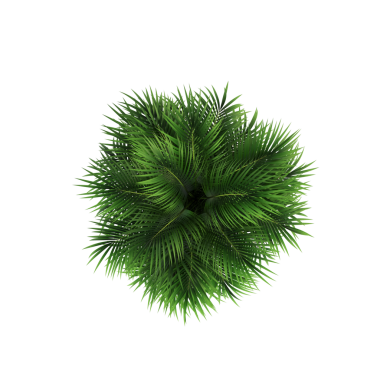 Beyaz arkaplanda 3 boyutlu yeşil ev bitkisi görüntüsü izole edildi