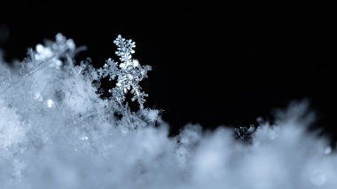 Siyah zemin üzerinde buz kristalleri.