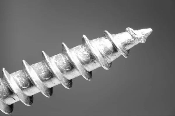 Tip Curved Thread Metal Screw Extreme Macro Close Diagonally Image — Stock Photo, Image
