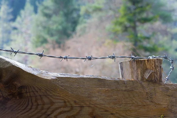 木製の素朴なソリッドフェンスの上に延びた鉄条網かみそり線を閉じます境界線が許可されていないと制限された領域をロックされているための背景概念 — ストック写真