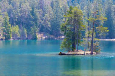 Berrak Tyrolean dağlık gölündeki küçük ada kozalaklı orman ve ağaçlarla el değmemiş uzak yerler için bir konsept olarak el değmemiş doğa rahatlatıcı macera gezisi ve dinlenme