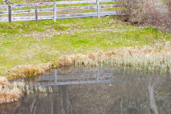 Gedeeltelijk Zicht Een Spiegelglad Wateroppervlak Van Een Kleine Vijver Omgeven — Stockfoto