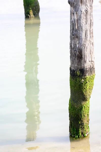 High Key Photo Massive Wooden Piles Planks Tying Boats Jetty — Stock Photo, Image