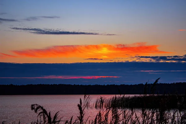 Pôr Sol Outono Junto Lago Com Juncos Nuvem Laranja — Fotografia de Stock