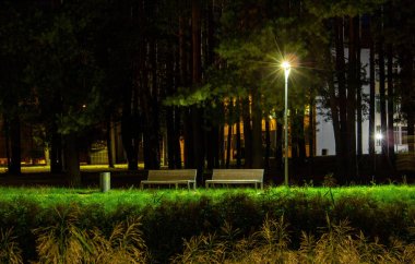 Parkta gece, iki sıra lamba ile aydınlatılmış, sonbahar.