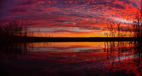 Maldito Pôr Sol Outono Margem Lago Vegetação Aquática Nas Laterais — Fotografia de Stock