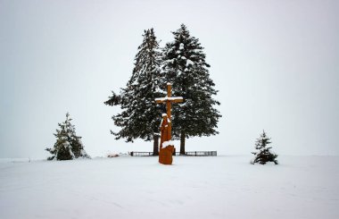 Haç, köknar ağaçları, yol kenarı, kış. Litvanya, 