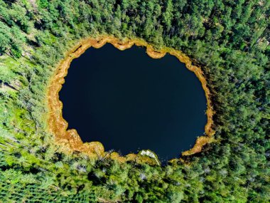 Aerial view of a lake in the forests of Lithuania, wild nature. The name of the lake is 