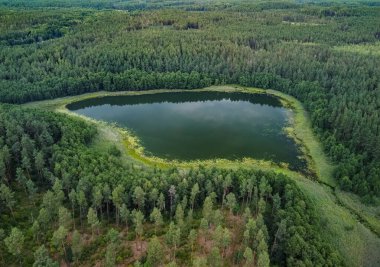 Aerial view of a lake in the forests of Lithuania, wild nature, swampy area. The name of the lake is 