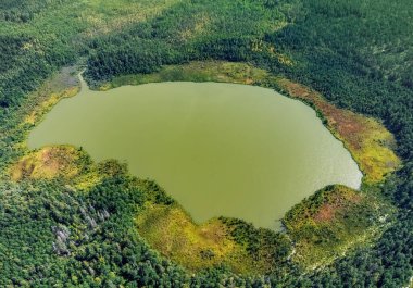Litvanya ormanlarındaki bir gölün havadan görünüşü, vahşi doğa, bataklık. Gölün adı 