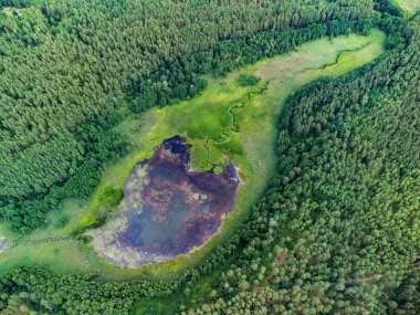 Aerial view of a lake in the forests of Lithuania, wild nature. The name of the lake is 