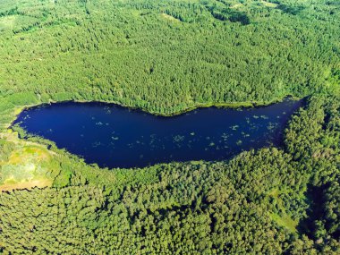 Aerial view of a lake in the forests of Lithuania, wild nature. The name of the lake is 