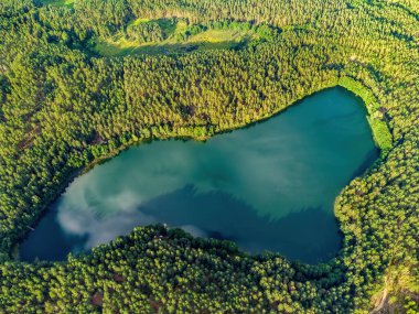 Aerial view of a lake in the forests of Lithuania, wild nature. The name of the lake is 