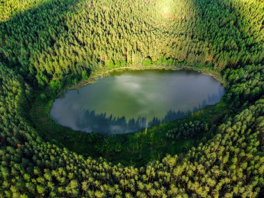 Aerial view of a lake in the forests of Lithuania, wild nature. The name of the lake is 