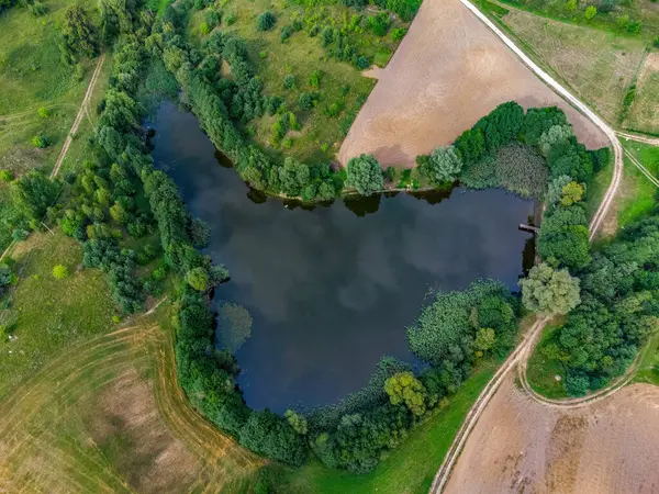 Litvanya ormanlarındaki bir gölün havadan görünüşü, vahşi doğa. Gölün adı 
