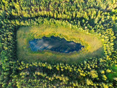 Aerial view of a lake in the forests of Lithuania, wild nature. The name of the lake is 