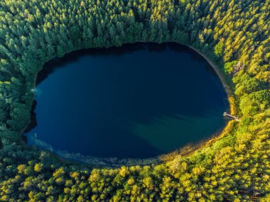 Aerial view of a lake in the forests of Lithuania, wild nature. The name of the lake is 