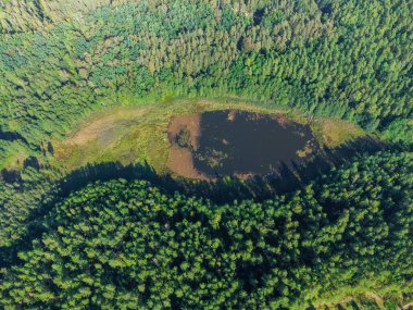 Aerial view of a lake in the forests of Lithuania, wild nature. The name of the lake is 
