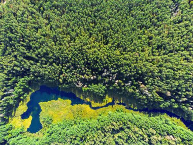 Aerial view of a lake in the forests of Lithuania, wild nature. The name of the lake is 