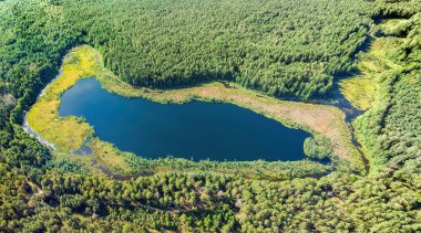 Litvanya ormanlarındaki bir gölün havadan görünüşü, vahşi doğa. Gölün adı 
