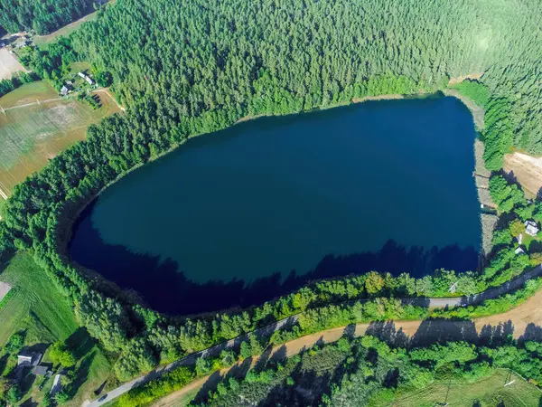 Aerial view of a lake in the forests of Lithuania, wild nature. The name of the lake is 