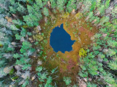 Aerial view of a lake in the forests of Lithuania, wild nature, Varena district, Europe. Dzukija national park.