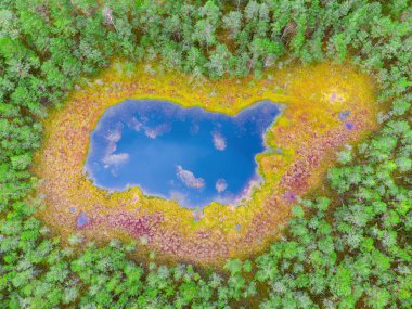 Litvanya ormanlarındaki bir gölün havadan görünüşü, vahşi doğa. Varena bölgesi, Avrupa.