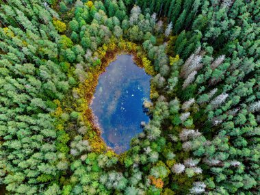 Aerial view of a lake in the forests of Lithuania, wild nature. Varena district, Europe. Dzukija national park.