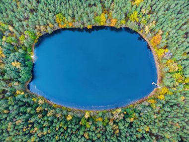 Aerial view of a lake in the forests of Lithuania, wild nature. The name of the lake is 